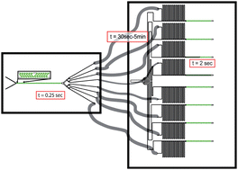 Device schematic