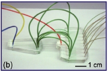Multi Time Point Cell Stimulation System
